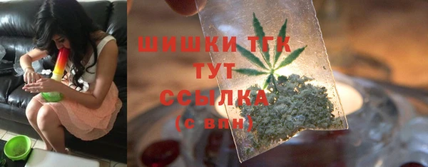 СК Вяземский