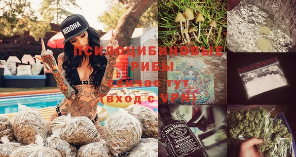 хмурый Вязники