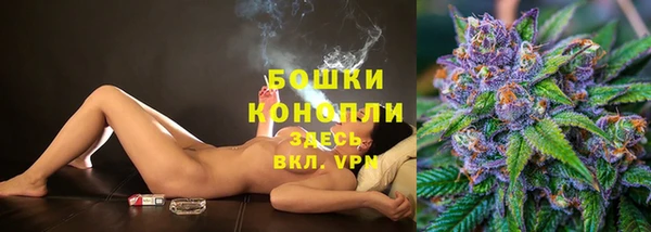 СК Вяземский