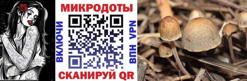 mega ссылка  наркотики  Юрьев-Польский  Галлюциногенные грибы Cubensis 