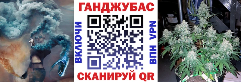 магазин    Юрьев-Польский  Канабис ГИДРОПОН 